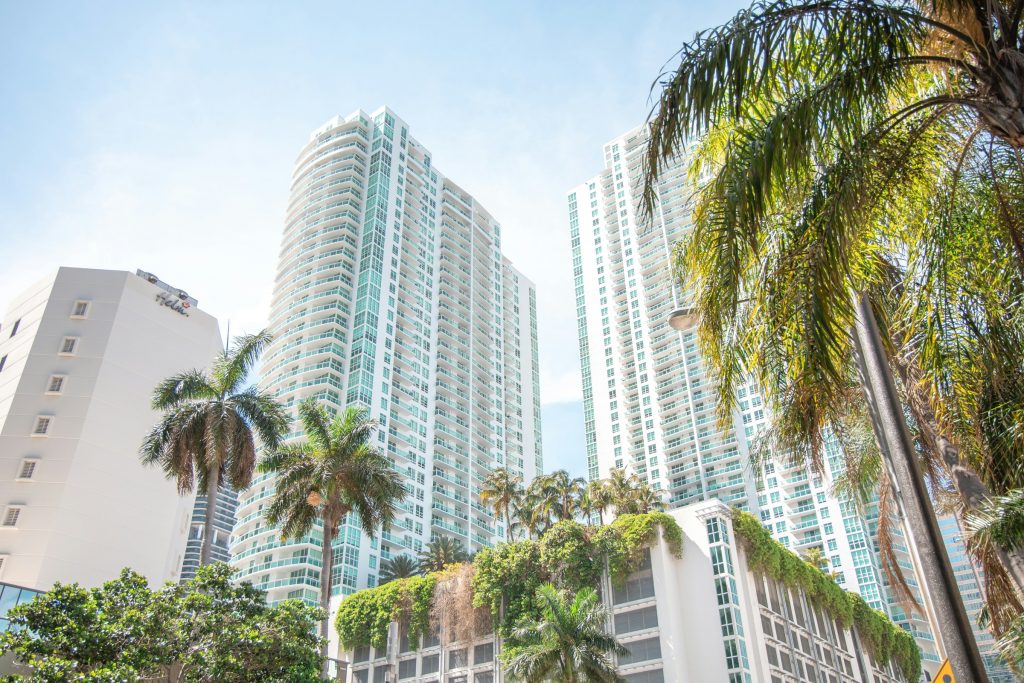 Miami skyline with palm trees and modern waterfront towers