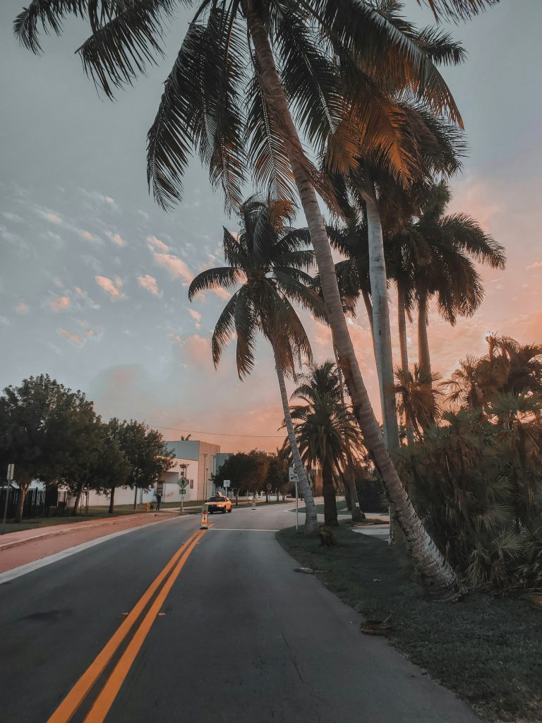 Palm lined Miami street at sunset